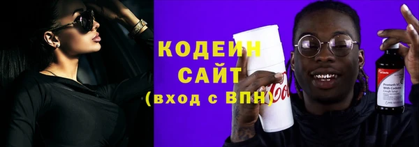 прущие грибы Арсеньев