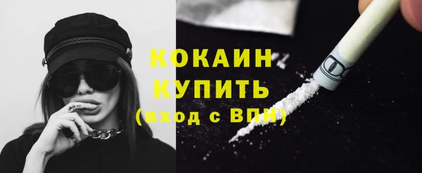 прущие грибы Арсеньев