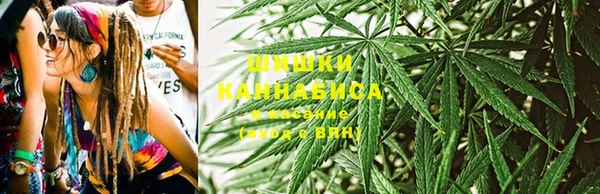 прущие грибы Арсеньев