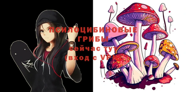 стафф Алексеевка
