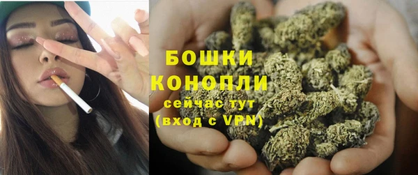 прущие грибы Арсеньев